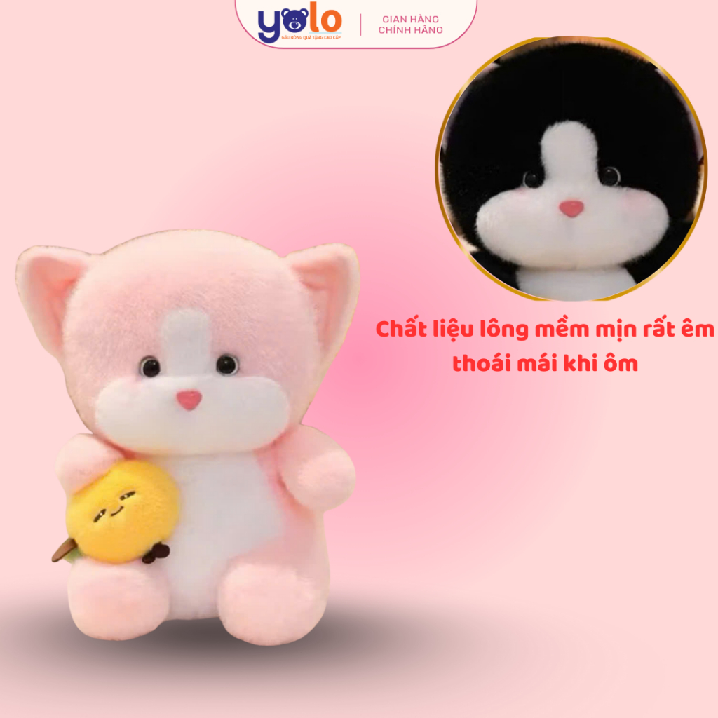 GẤU BÔNG MÈO ÔM TRÁI CÂY SIÊU DỄ THƯƠNG LÀM QUÀ TẶNG BẠN BÈ NGƯỜI THÂN