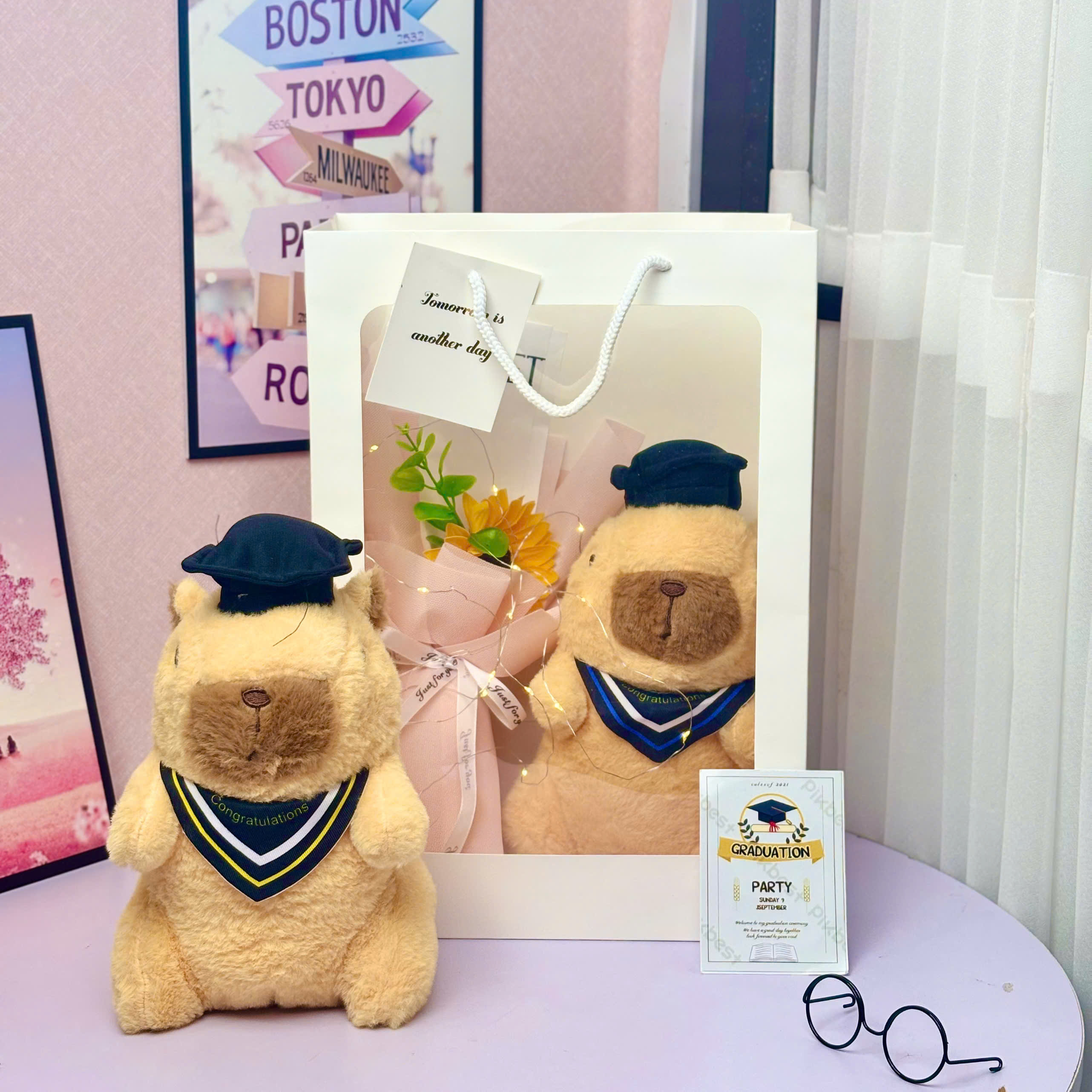 Gấu bông quà tặng tốt nghiệp . quà tặng tốt nghiệp gấu bông teddy. graduation gấu quà tặng st1