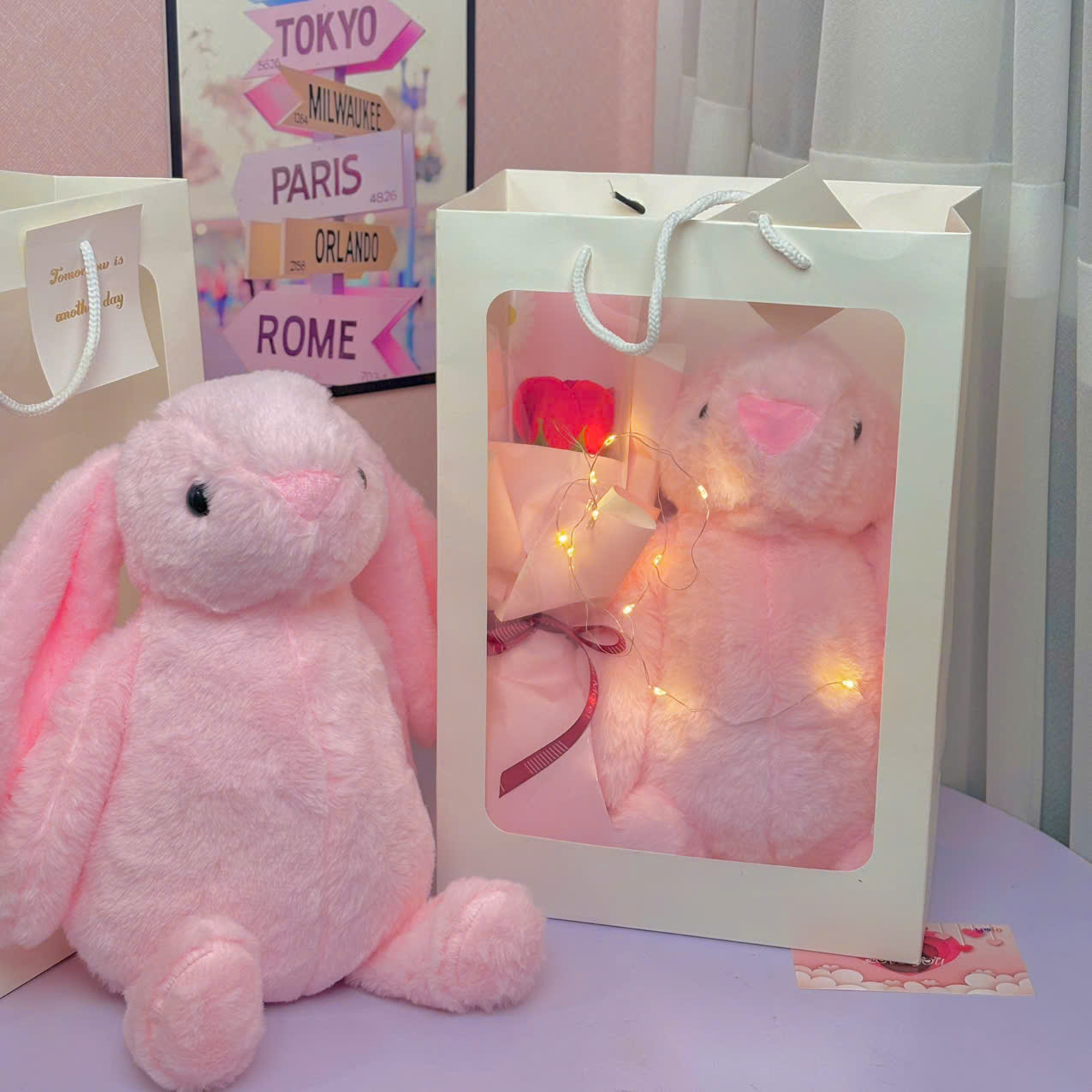 Gấu bông quà tặng tốt nghiệp . quà tặng tốt nghiệp gấu bông teddy. graduation gấu quà tặng st1