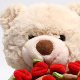 TEDDY ÔM HOA SIÊU DỄ THƯƠNG – QUÀ TẶNG NGỌT NGÀO