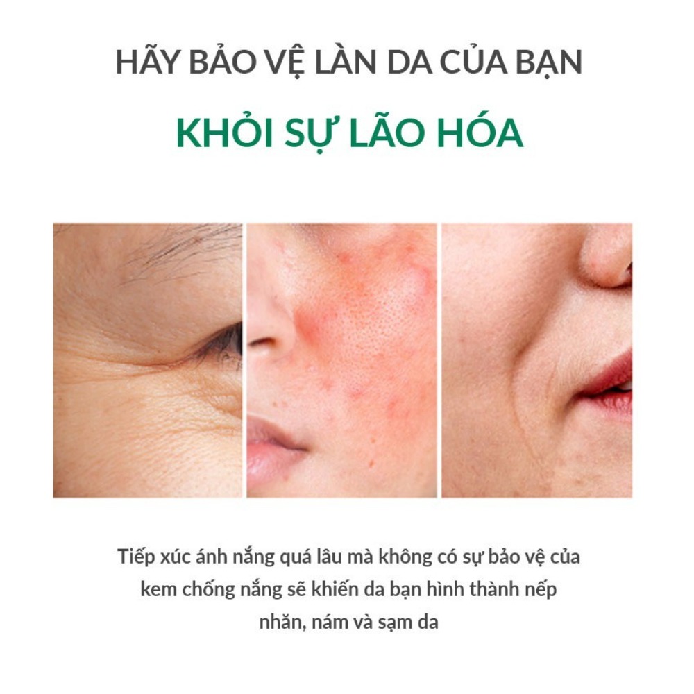 Kem Chống Nắng Chiết Xuất Rau Má Skin1004 SPF50+ PA++++ 50ml Chính Hãng