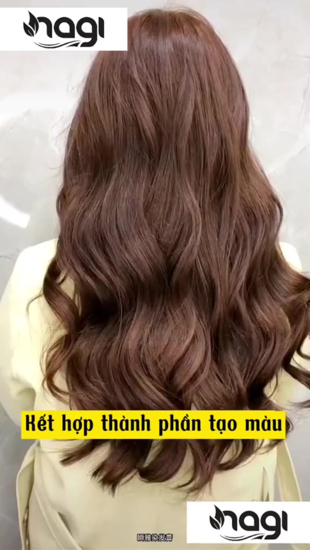 Dầu gội nhuộm tóc Nagi, dầu gội thảo dược chiết xuất từ thiên nhiên không gây khô xơ tóc chai 400ml