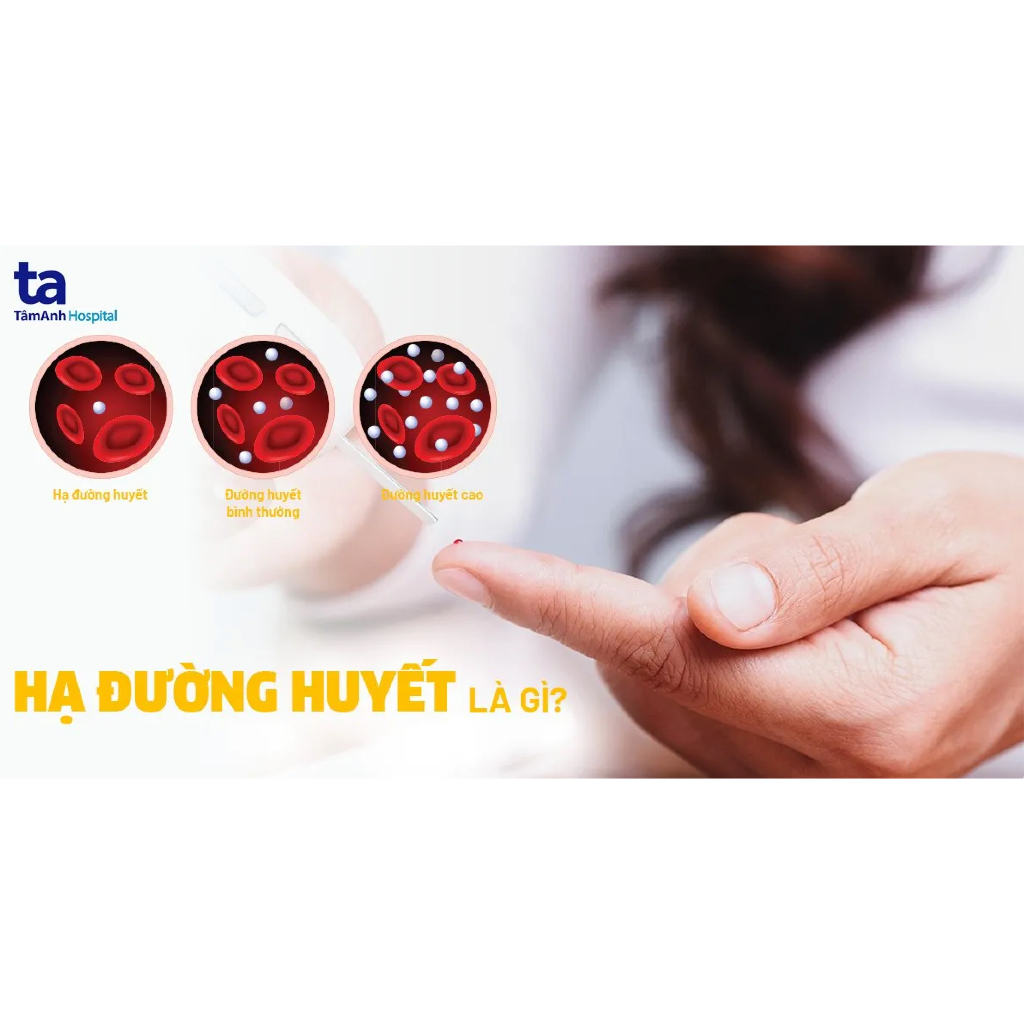 VIÊN UỐNG CÂN BẰNG ĐƯỜNG HUYẾT Blackmores Sugar Balance, HỖ TRỢ TRAO ĐỔI CHẤT - SẢN SINH NĂNG LƯỢNG
