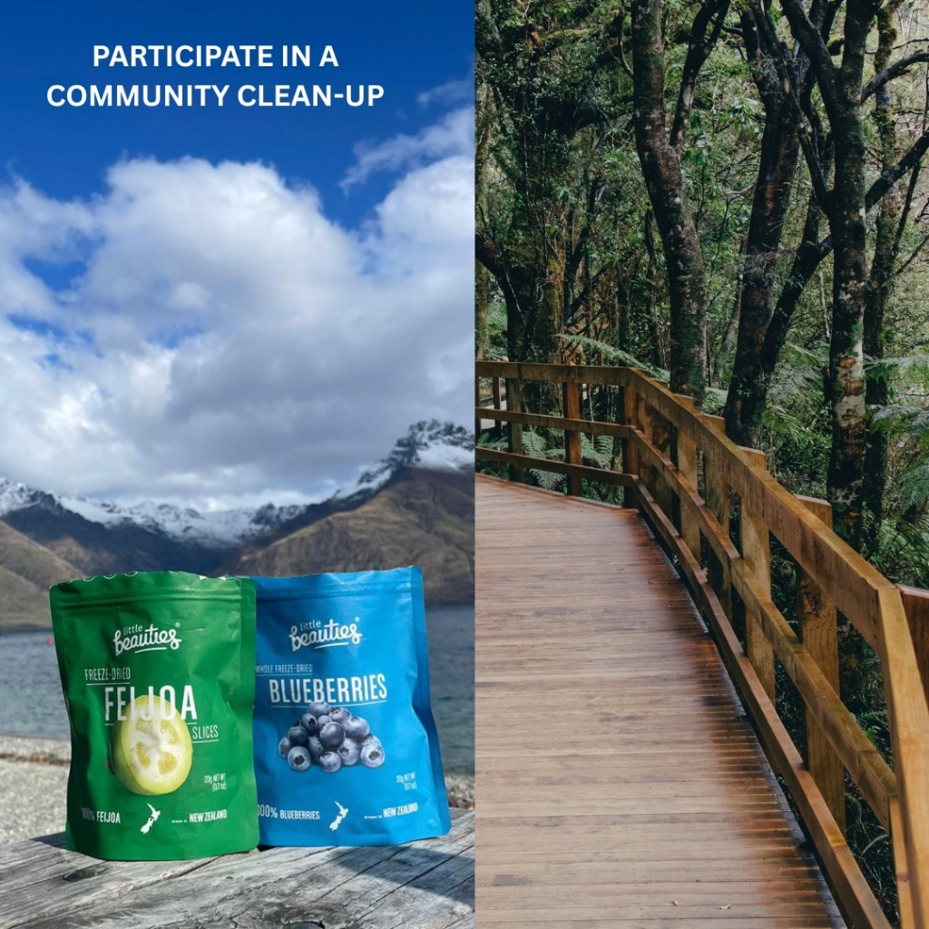 [Đặc trưng New Zealand] ỔI DỨA SẤY LẠNH GIÒN Little Beauties Freeze-Dried Crunchy FEIJOA SLICES, 80g