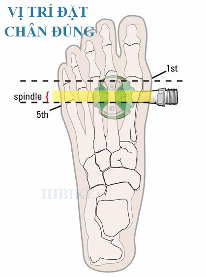 Dụng Cụ Điều Chỉnh Can Giày Xe Đạp LEBYCLE