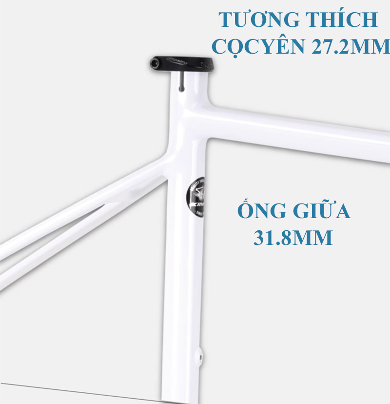 Khung Sườn Nhôm 6061 Xe Đạp Đua KINESIS TR200 - Phanh Đĩa