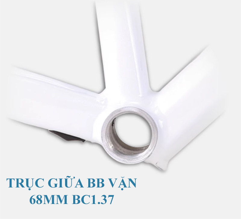 Khung Sườn Nhôm 6061 Xe Đạp Đua KINESIS TR200 - Phanh Đĩa