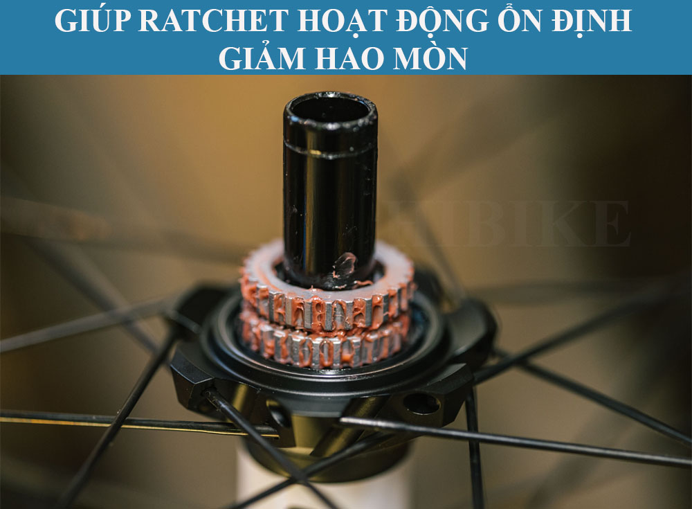 Mỡ Bảo Dưỡng Hub Ratchet DT SWISS 20G