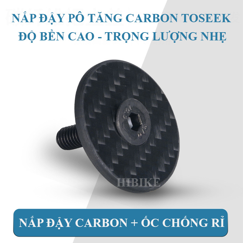 Nắp Đậy Pô Tăng CARBON TOSEEK 3K