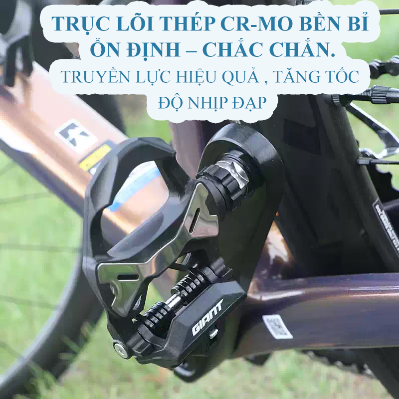 Pedan Can Xe Đạp GIANT Carbon