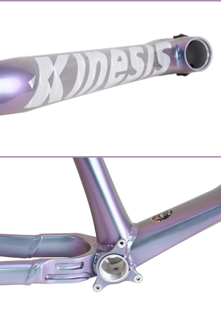Khung Sườn Nhôm Xe Đạp Địa Hình KINESIS AM HARDTAIL TX529 BOOST UDH