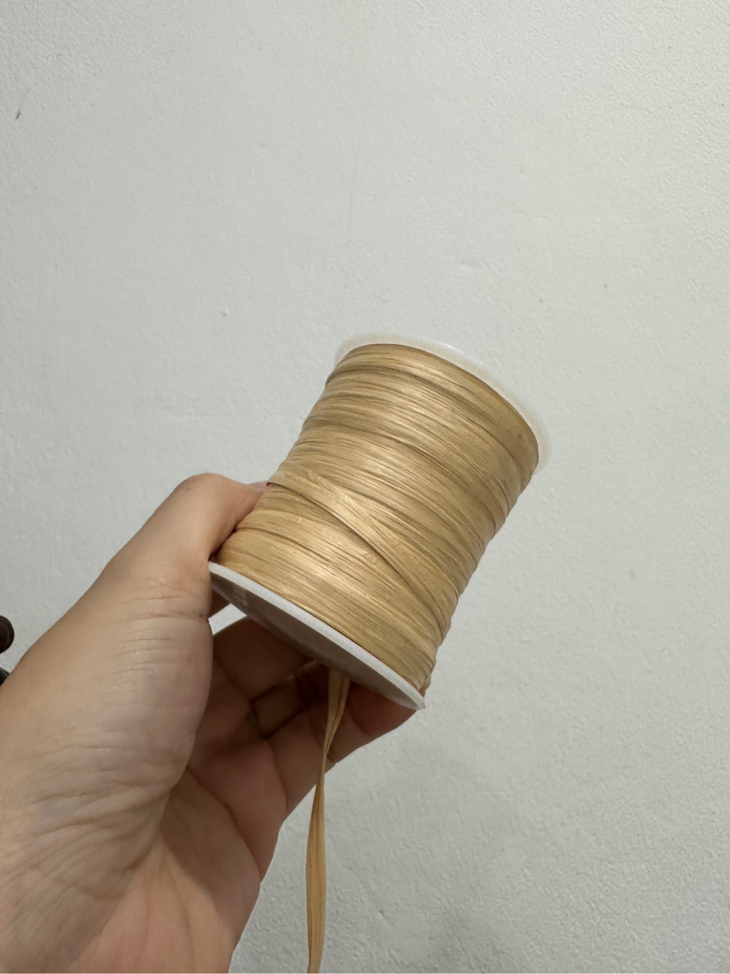 Sợi Cọ tổng hợp cuộn 50gr