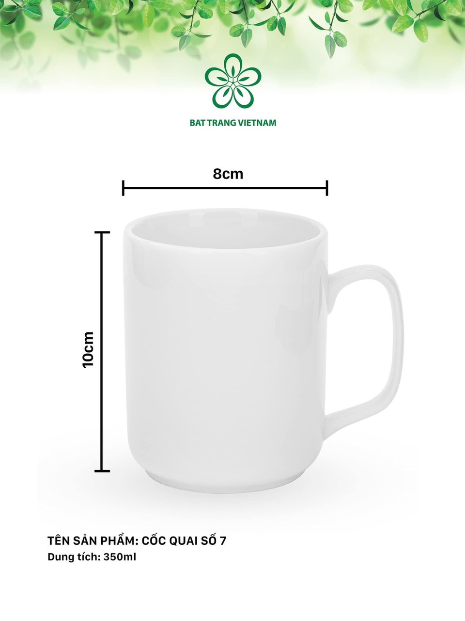 Cốc sứ trắng