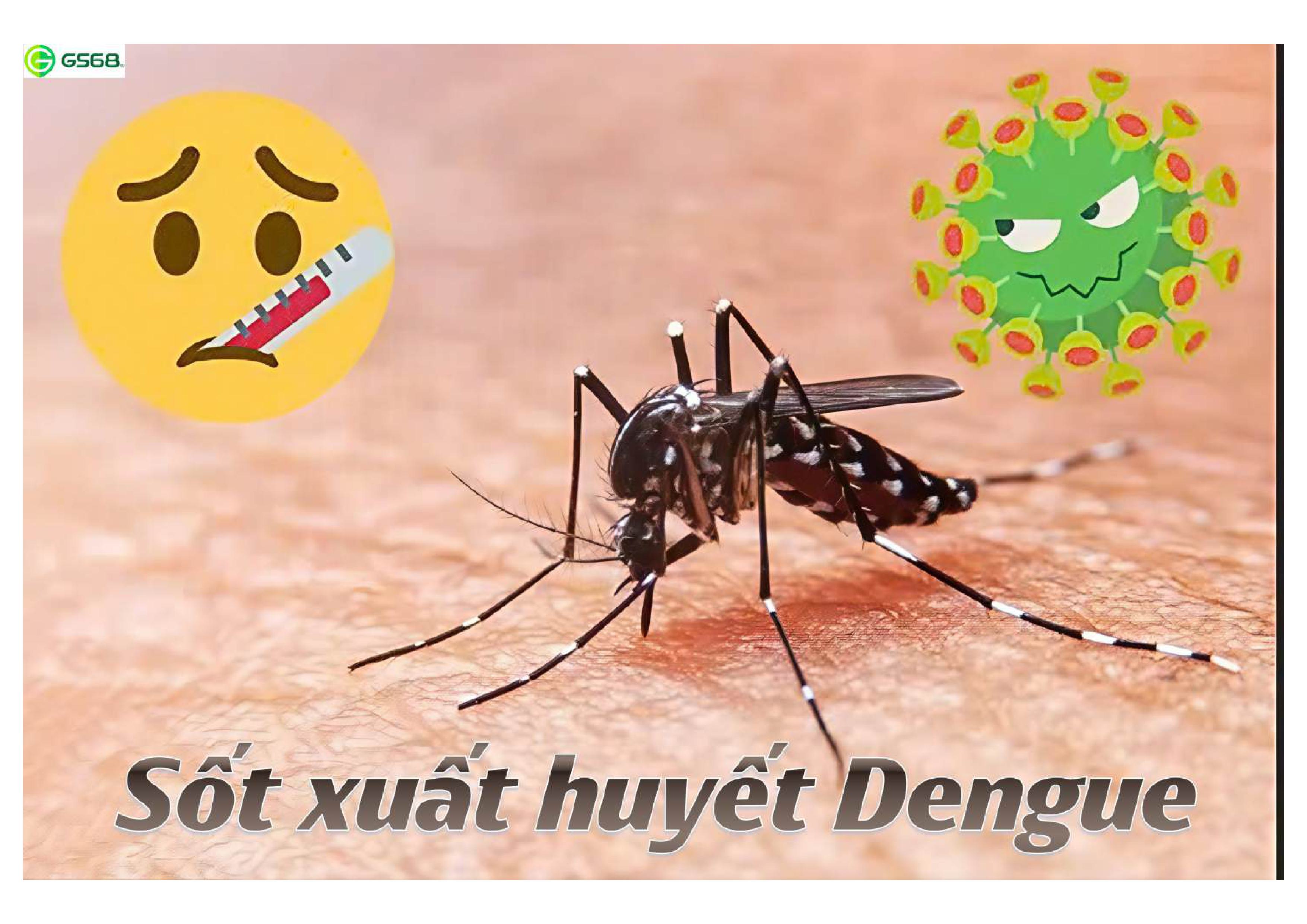 Sốt xuất huyết: Triệu chứng, biến chứng và cách điều trị hiệu quả