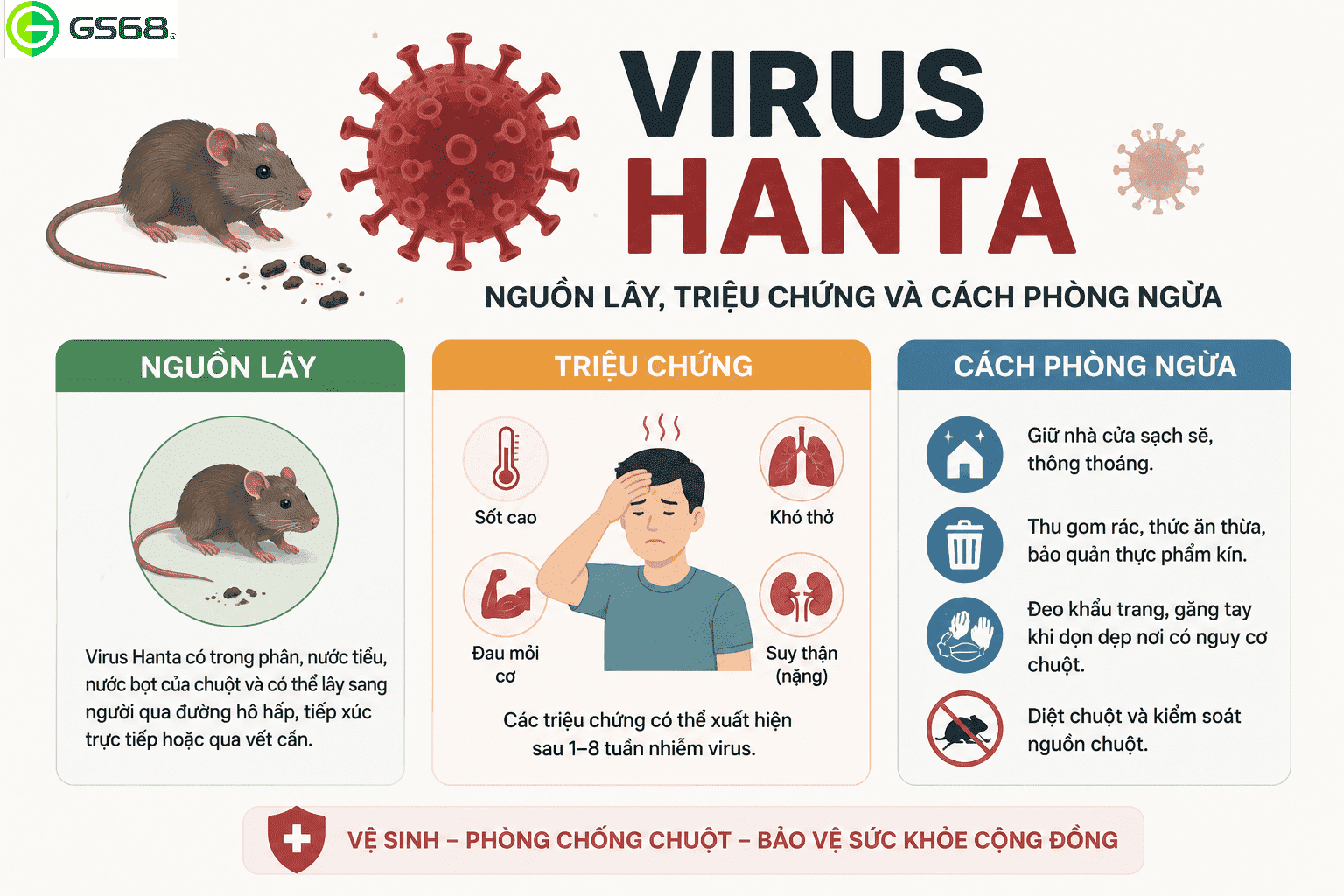 VIRUS HANTA: NGUỒN LÂY, TRIỆU CHỨNG VÀ CÁCH PHÒNG NGỪA