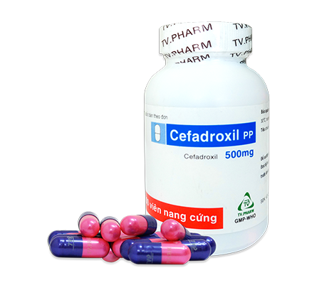 Viên nang Cefadroxil PP điều trị các nhiễm khuẩn thể nhẹ và trung bình (chai x 100 viên)