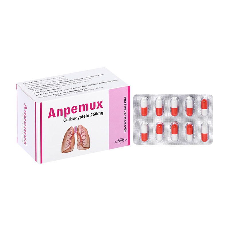 Thuốc Anpemux 250mg trị rối loạn tiết dịch hô hấp (hộp 6 vỉ x 10 viên)
