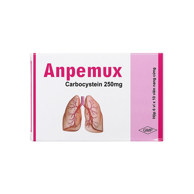 Thuốc Anpemux 250mg trị rối loạn tiết dịch hô hấp (hộp 6 vỉ x 10 viên)