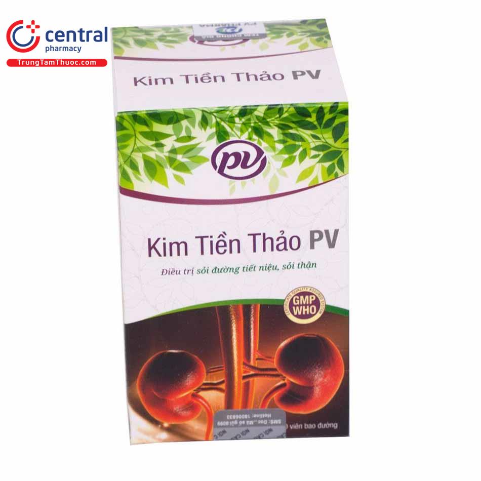 Thuốc Kim tiền thảo PV điều trị sỏi tiết niệu, sỏi thận (hộp 1 lọ x 100 viên)