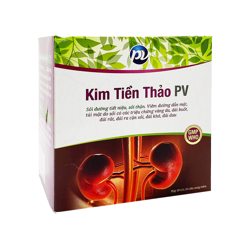 Thuốc Kim tiền thảo PV điều trị sỏi tiết niệu, sỏi thận (hộp 10 vỉ x 10 viên)