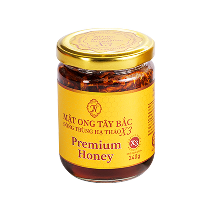 Mật Ong Tây Bắc Đông Trùng Hạ Thảo X3 (hộp 1 chai x 240g)