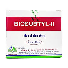 Bột men vi sinh Biosubtyl-II điều trị tiêu chảy, viêm ruột (hộp 25 gói x 1g)