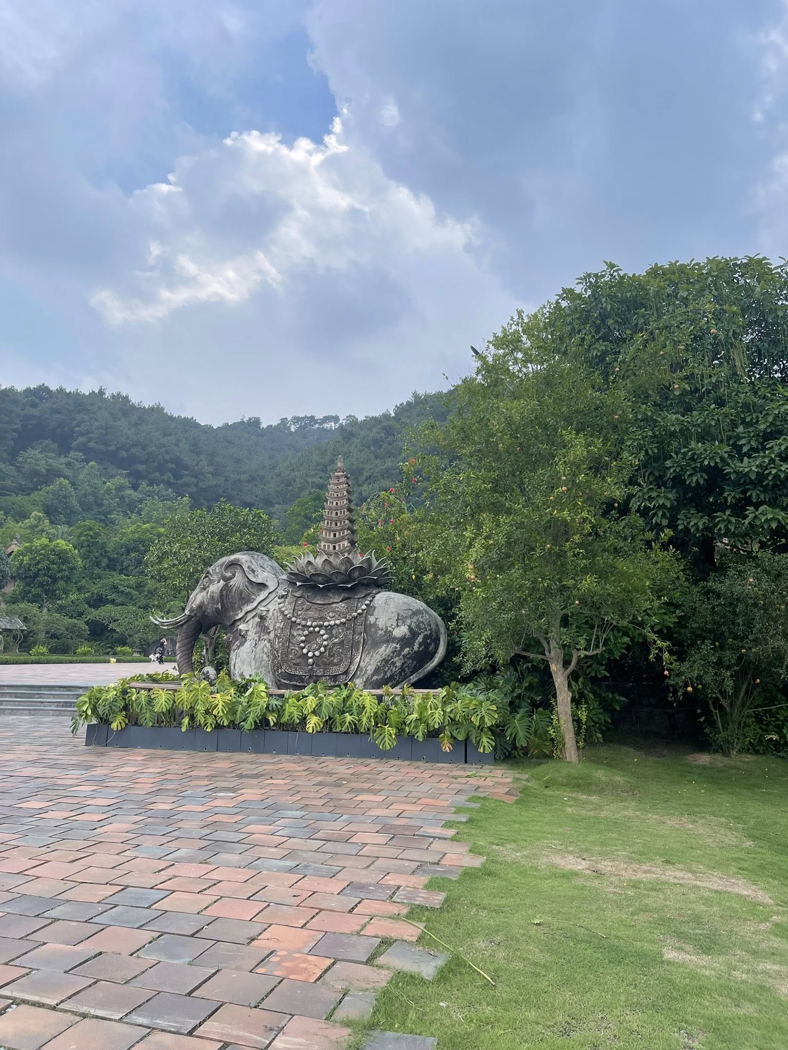 Phân tích ưu và nhược điểm của hàng rào cây xanh trong thiết kế không gian sống