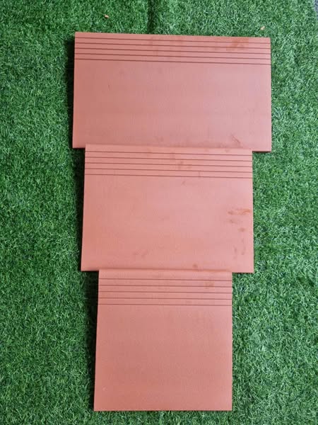 GẠCH BẬC VIGLACERA HẠ LONG