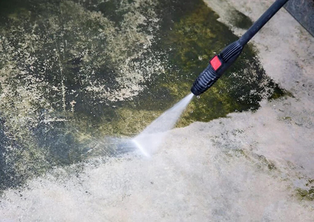 5 Cách Tẩy Rong Rêu Trên Nền Gạch An Toàn tại nhà