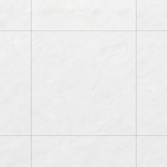 GẠCH PORCELAIN KHÁNG KHUẨN 100DONGVAN001-FP-H+
