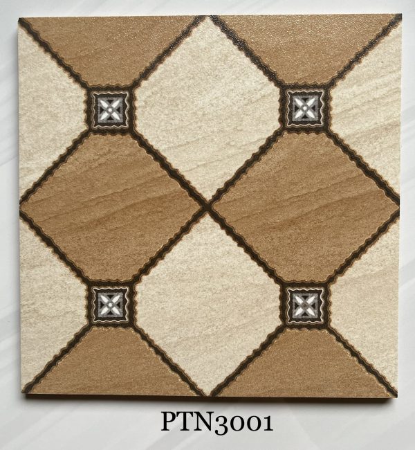 Gạch lát 30x30cm PTN 3001