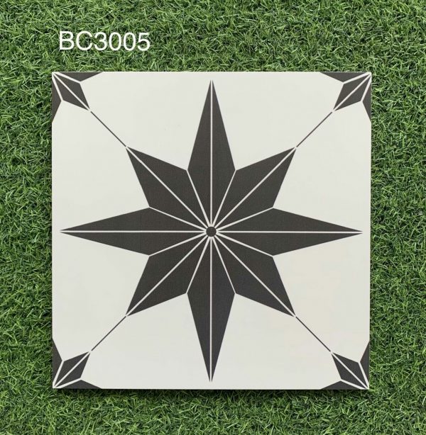 Gạch lát 30x30cm BC – 3005