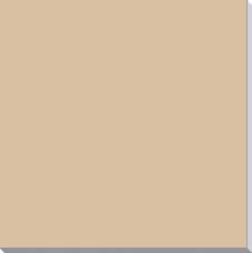 Gạch Granite 2 da 60x60 Viglacera TS5-602