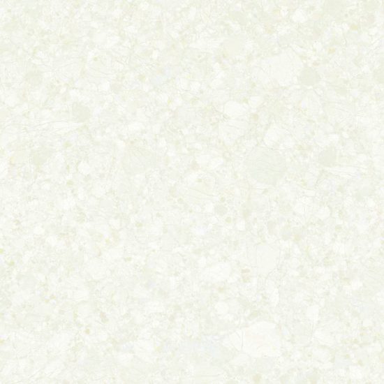 GẠCH PORCELAIN 6060TRUONGSON004-FP