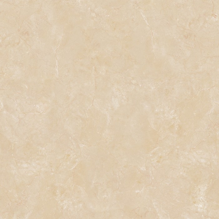 Gạch Viglacera 60x60 B 6005