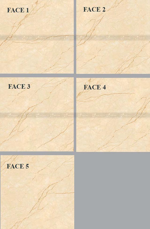 Gạch lát nền Viglacera MDP 822