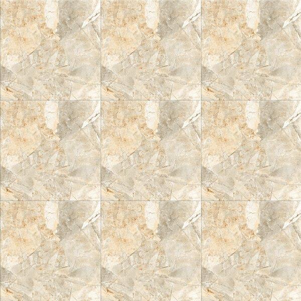 Gạch Viglacera 50x50 HH 502