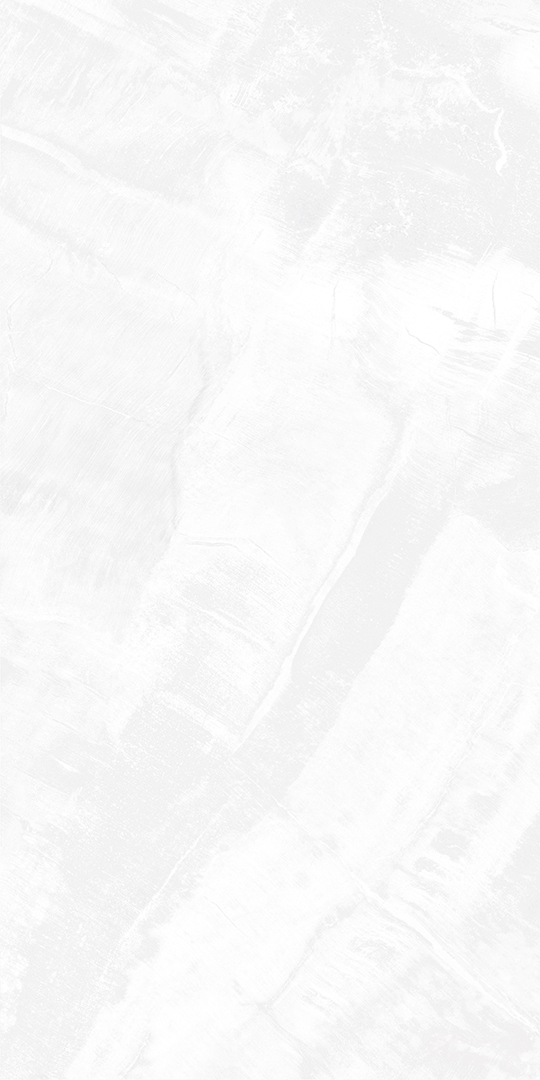 Gạch eurotile SIG. DNI Q01