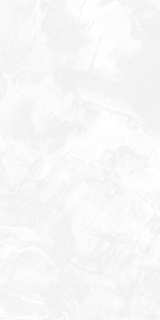 Gạch eurotile SIG. DNI Q01