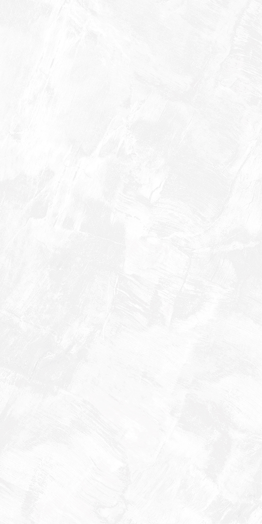 Gạch eurotile SIG. DNI Q01