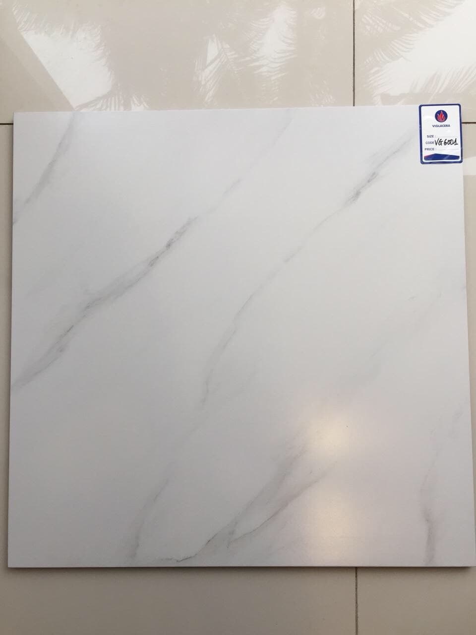 Gạch bán sứ 60x60cm Viglacera VG 6001 