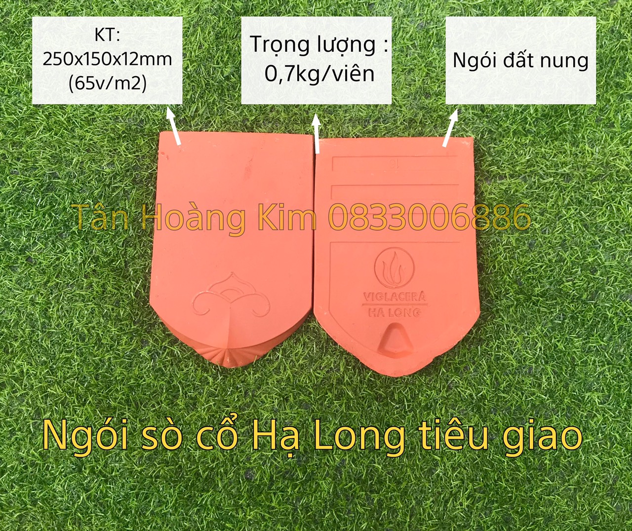 Ngói hài cổ Viglacera Hạ Long Tiêu Giao