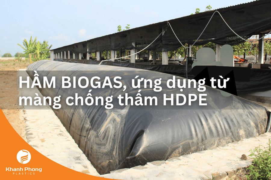 Xử Lý Chất Thải Chăn Nuôi Hiệu Quả Với Bạt HDPE