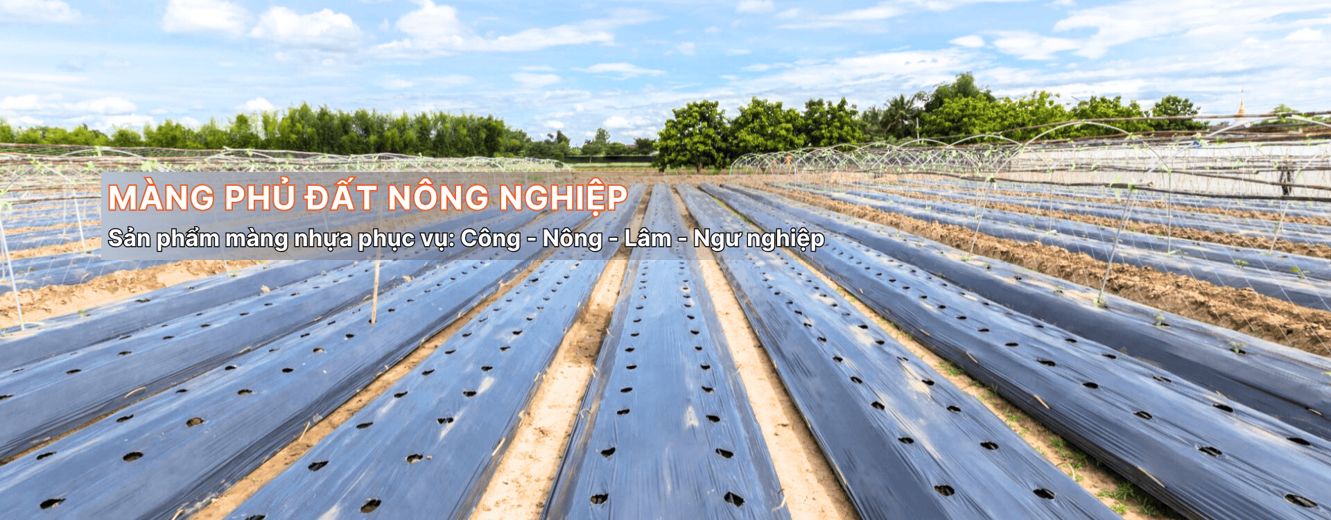 Màng phủ đất nông nghiệp Khánh Phong