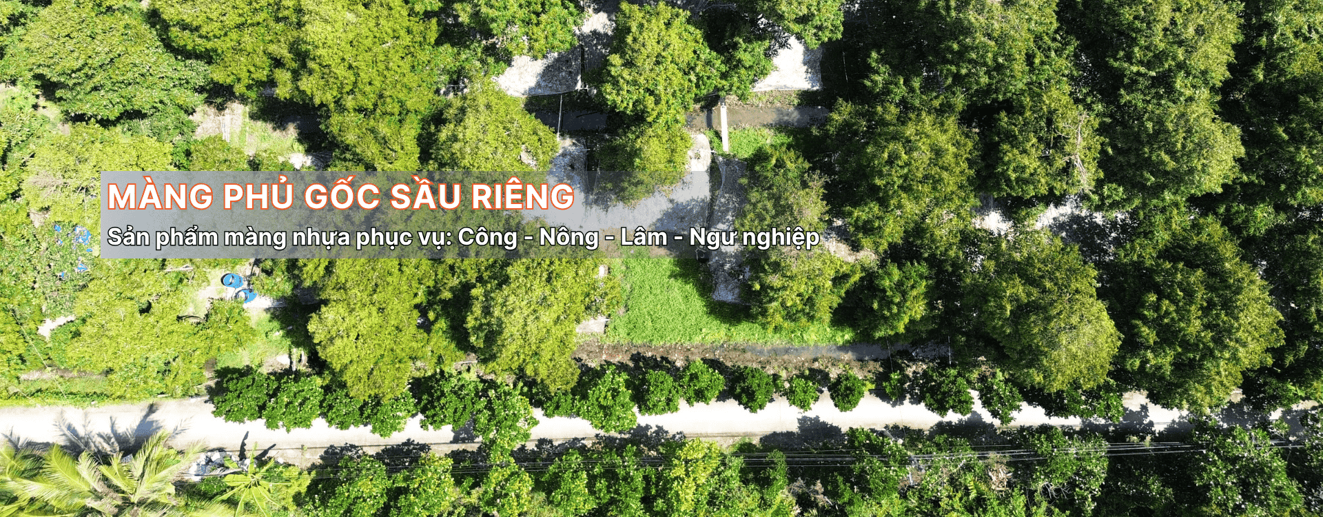 Màng phủ gốc sầu riêng Khánh Phong