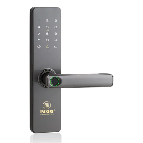 Khóa vân tay cửa gỗ PASINI PS01VG50 màu xám