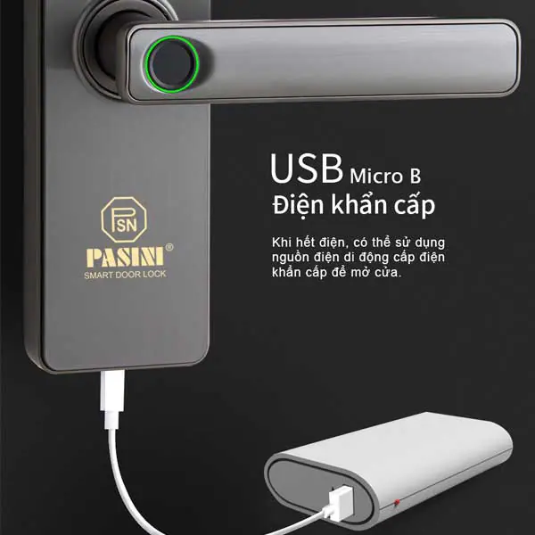Khóa vân tay cửa gỗ PASINI PS01VG50 màu xám