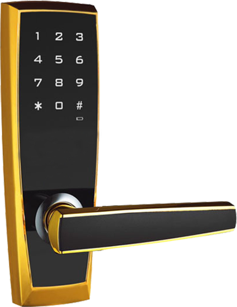 Khóa điện tử NewNeo M116E98