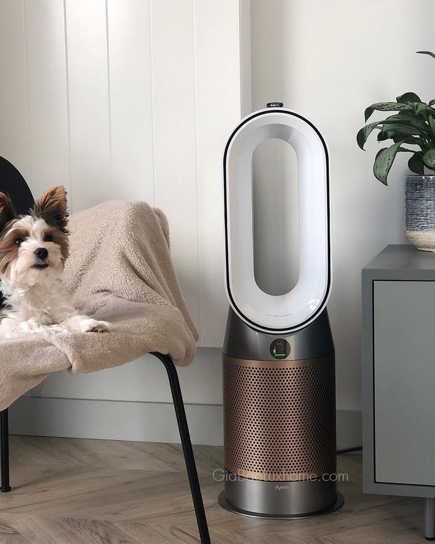 Quạt không cánh Dyson kèm lọc không khí và sưởi ấm | HP09