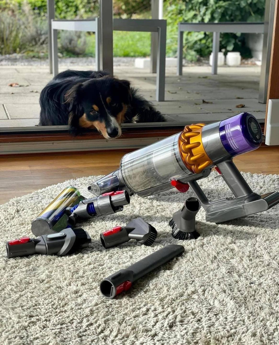 Máy hút bụi không dây Dyson Detect Absolute | V15